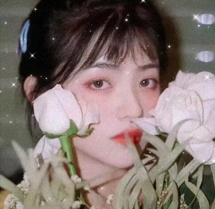 新爱的世界